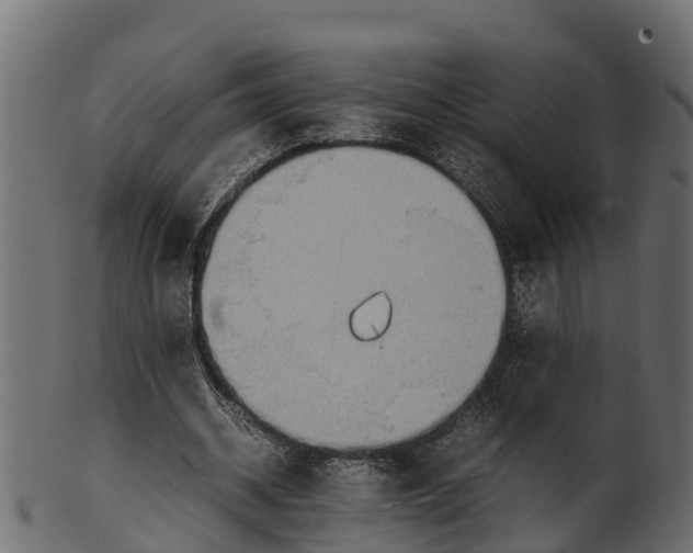 X0000100480534200807031854