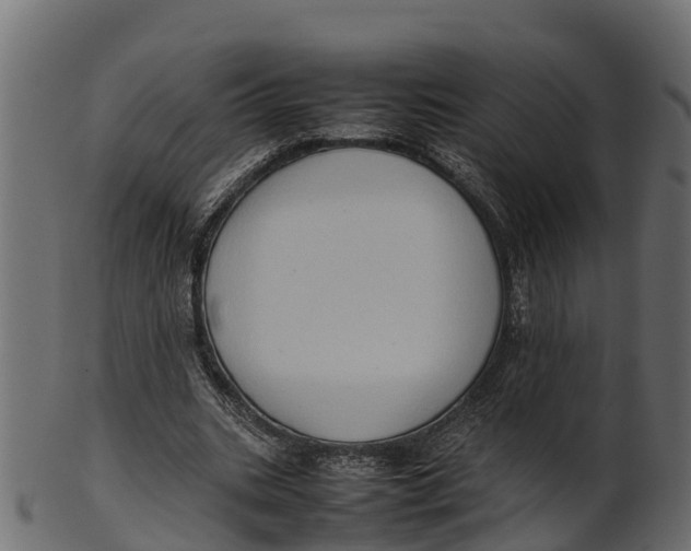 X0000100480535200807031854