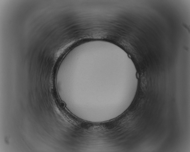 X0000100480536200807031854