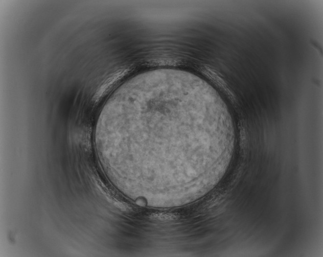 X0000100480537200807031854