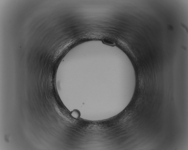 X0000100480538200807031854