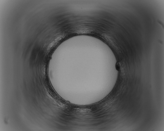 X0000100480539200807031854