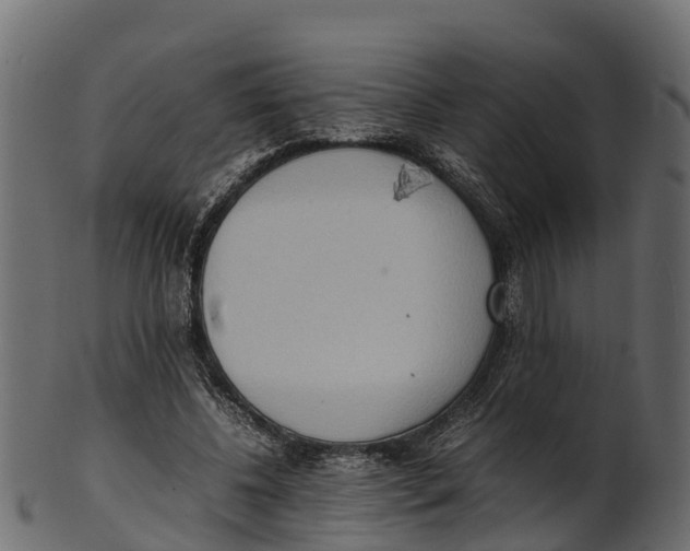 X0000100480540200807031854