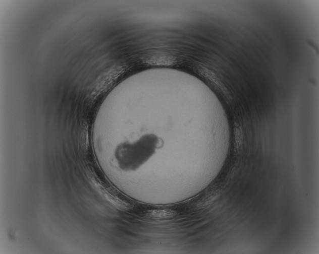 X0000100480541200807031854