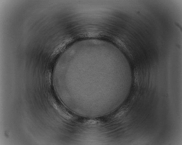 X0000100480542200807031854