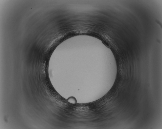 X0000100480543200807031854