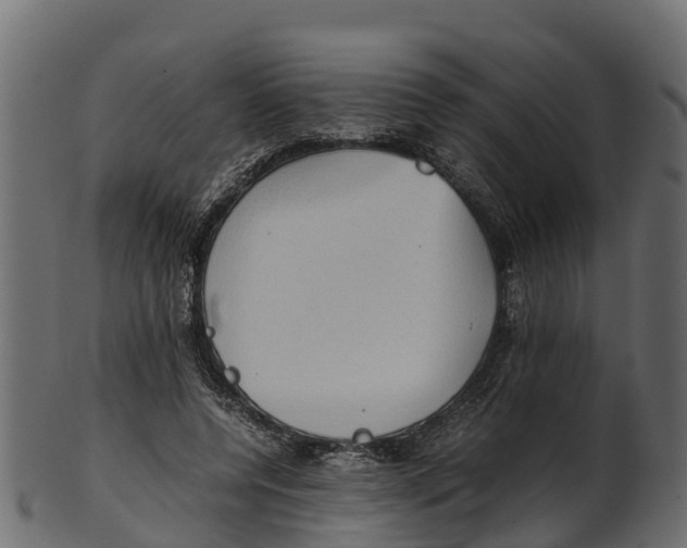 X0000100480544200807031854