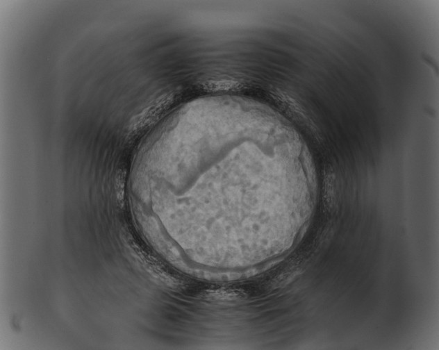 X0000100480545200807031854