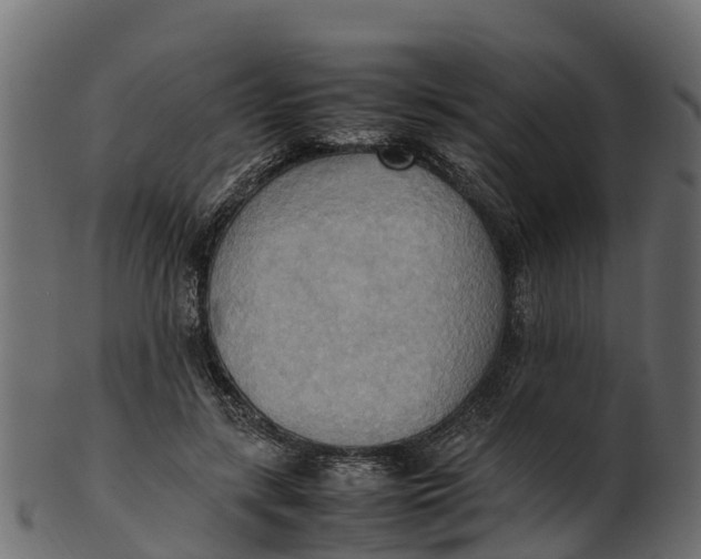 X0000100480547200807031854