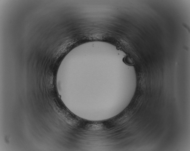 X0000100480548200807031854