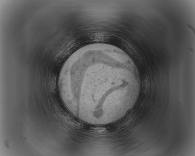 X0000100480554200807031854