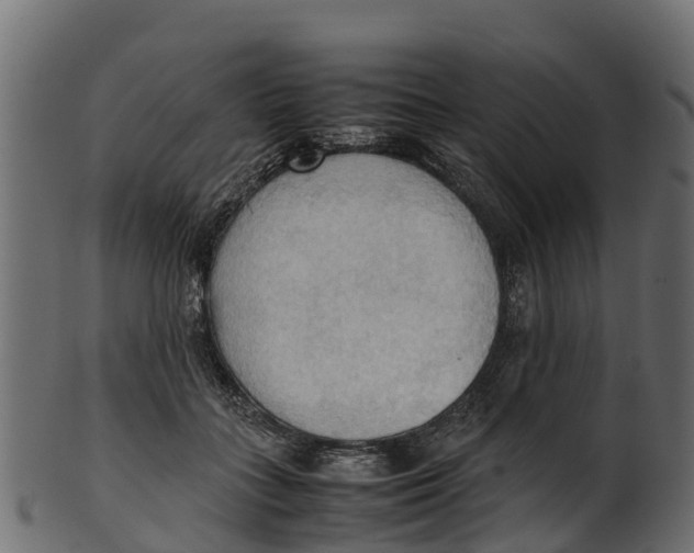 X0000100480555200807031854