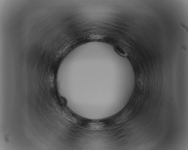 X0000100480556200807031854