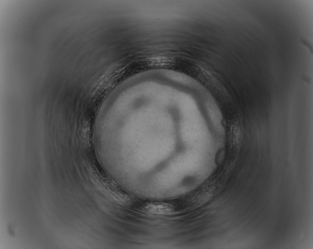 X0000100480557200807031854