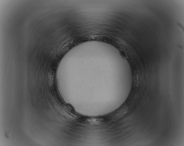 X0000100480558200807031854