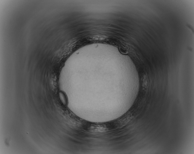 X0000100480559200807031854