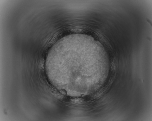 X0000100480561200807031854