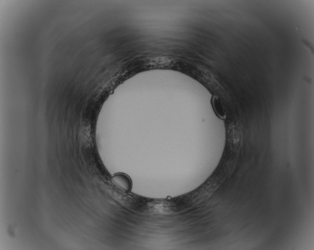 X0000100480564200807031854