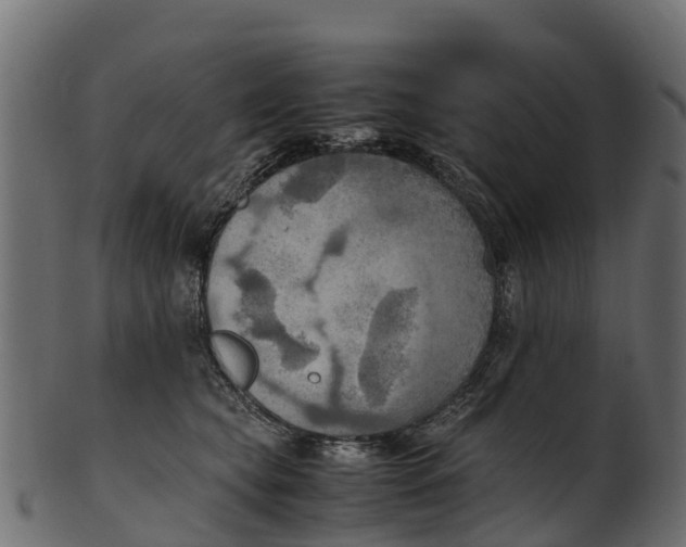 X0000100480565200807031854