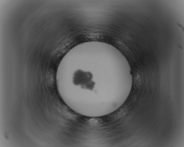 X0000100480566200807031854