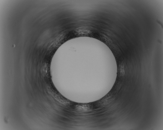 X0000100480567200807031854