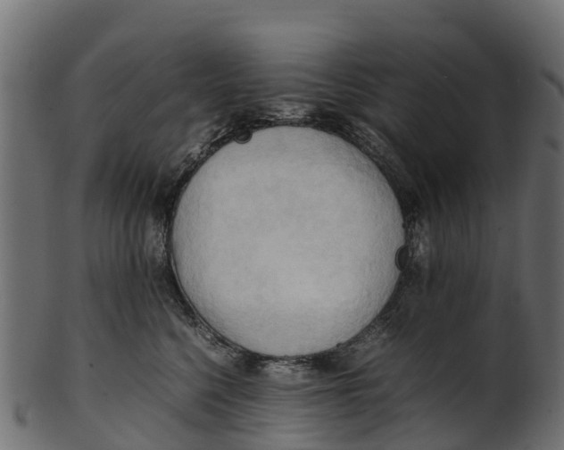 X0000100480568200807031855