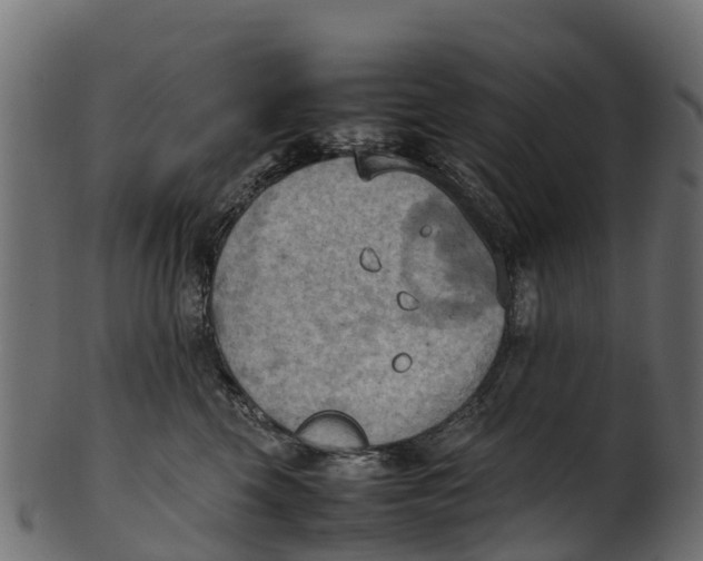 X0000100480569200807031855