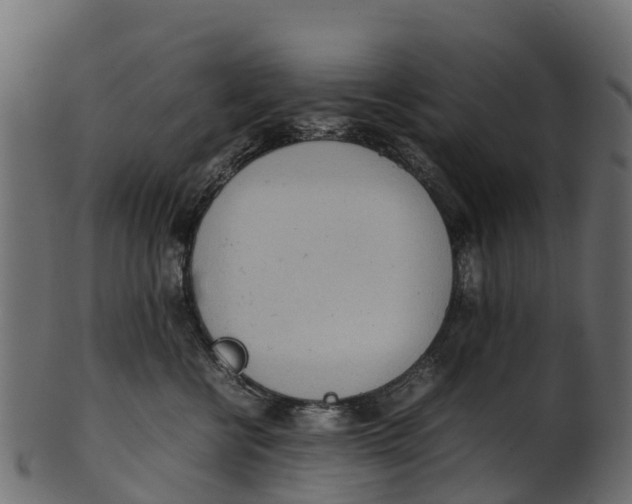 X0000100480570200807031855