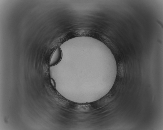 X0000100480571200807031855