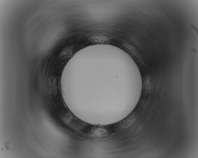 X0000100480572200807031855