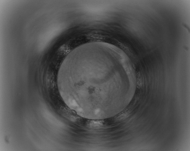 X0000100480573200807031855