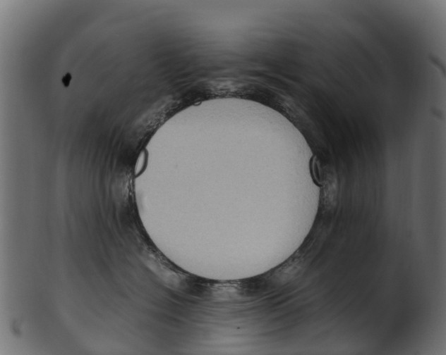 X0000100480574200807031855