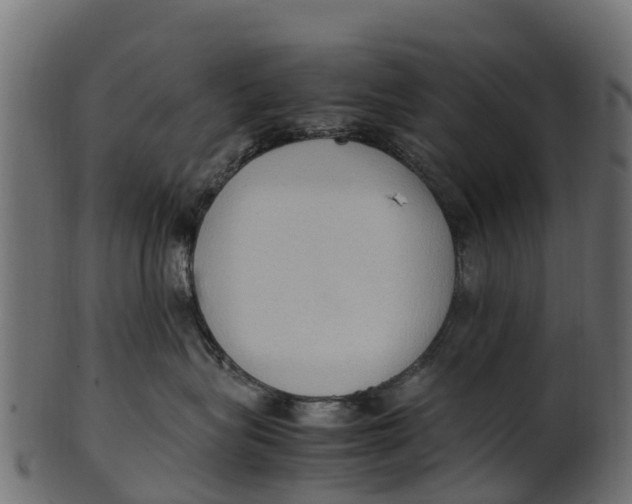 X0000100480575200807031855