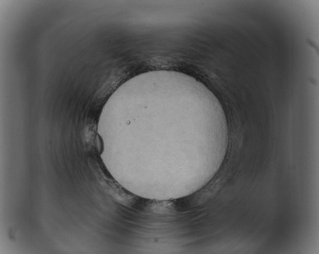 X0000100480576200807031855