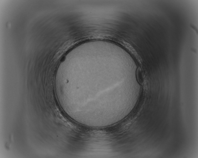 X0000100480577200807031854