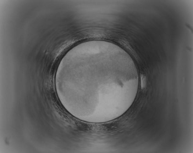 X0000100480579200807031854