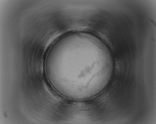 X0000100480582200807031854