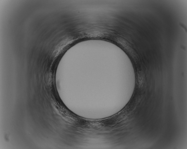 X0000100480583200807031854