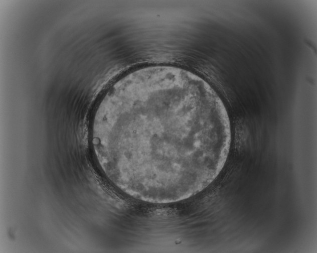 X0000100480584200807031854