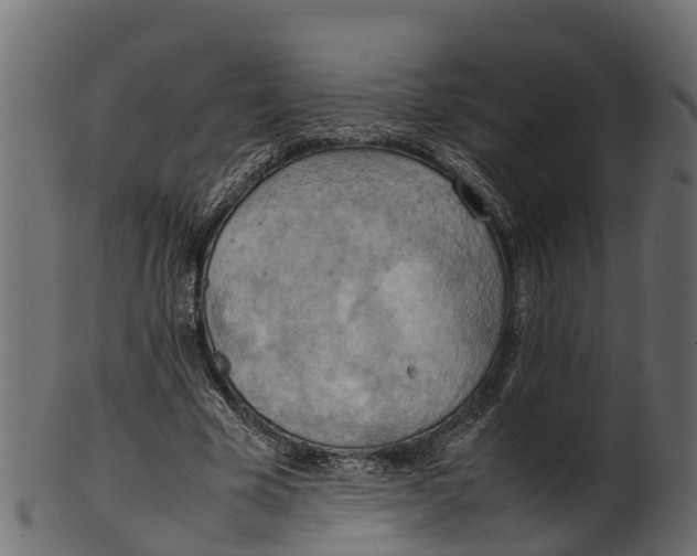 X0000100480585200807031854