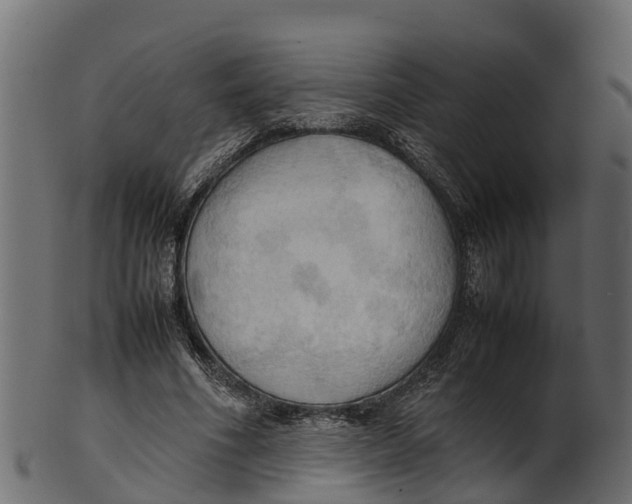 X0000100480586200807031854