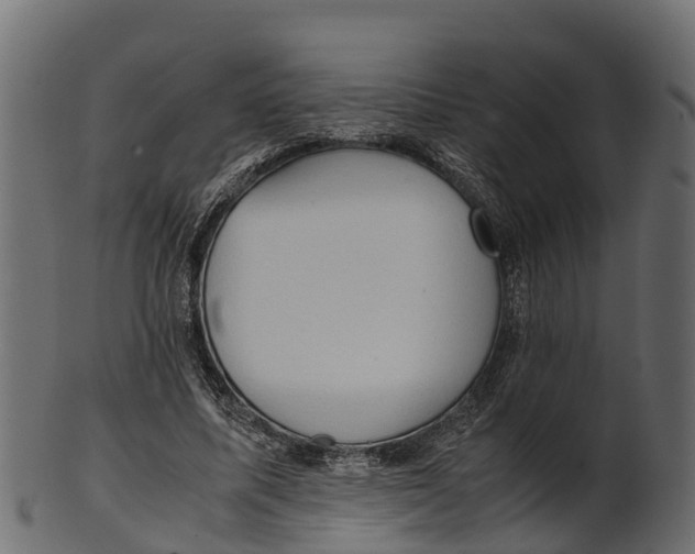 X0000100480587200807031854