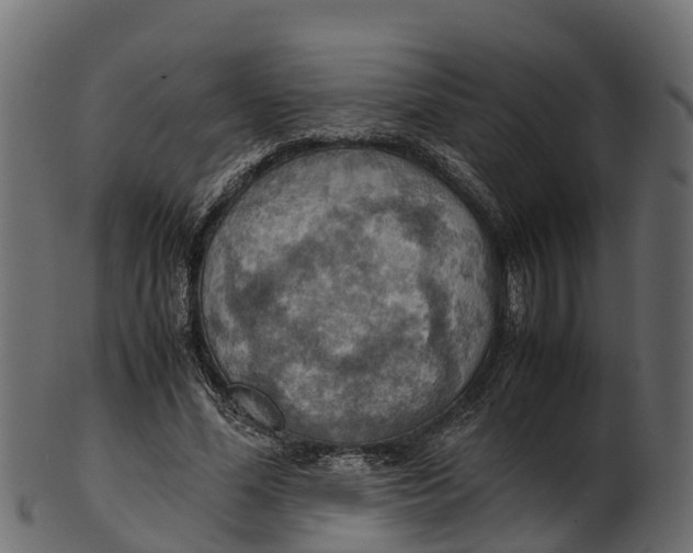 X0000100480588200807031854