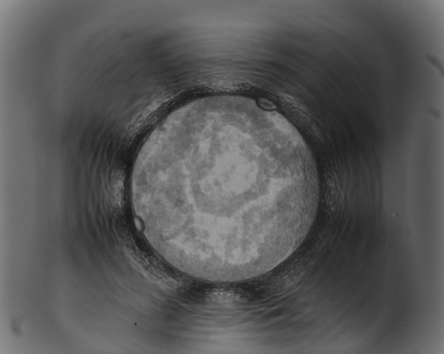 X0000100480596200807031854