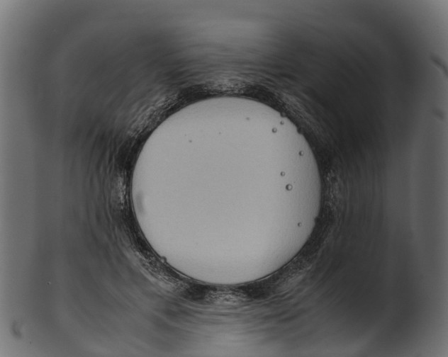 X0000100480597200807031853