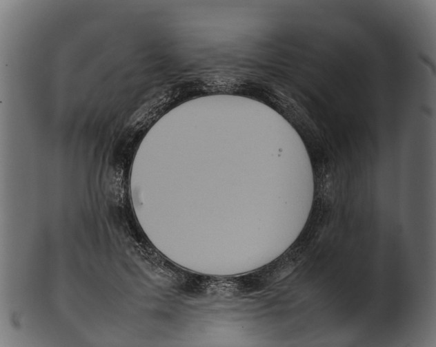 X0000100480599200807031853