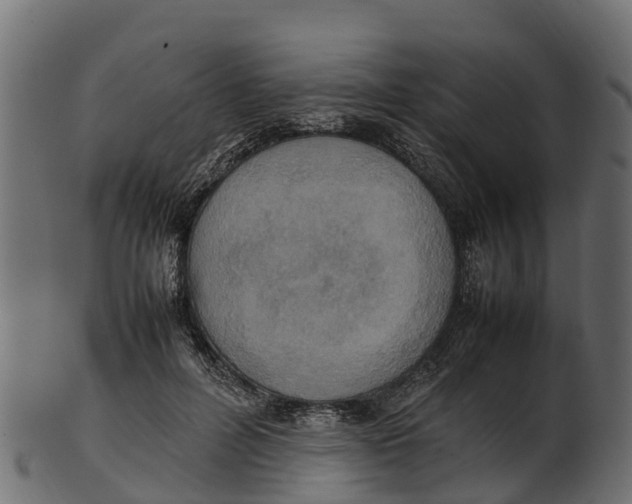 X0000100480600200807031853