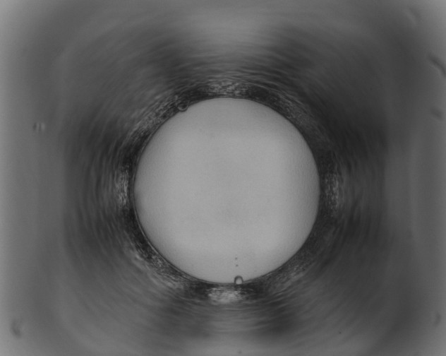 X0000100480602200807031853