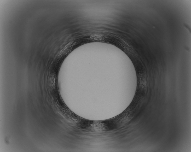 X0000100480603200807031853