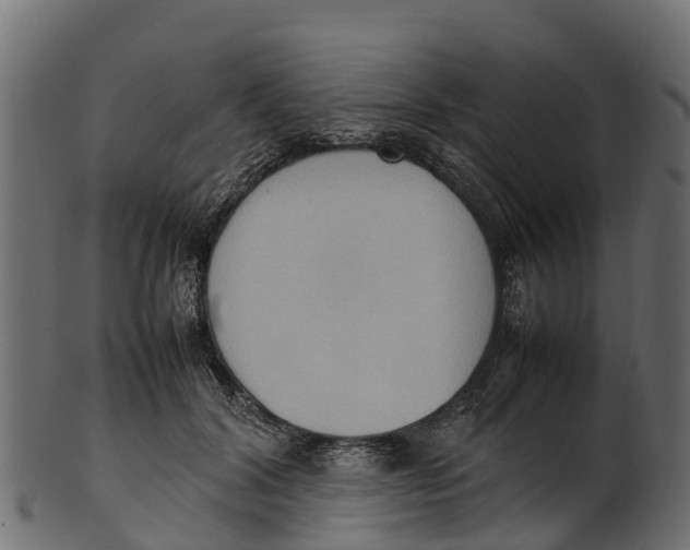 X0000100480604200807031853